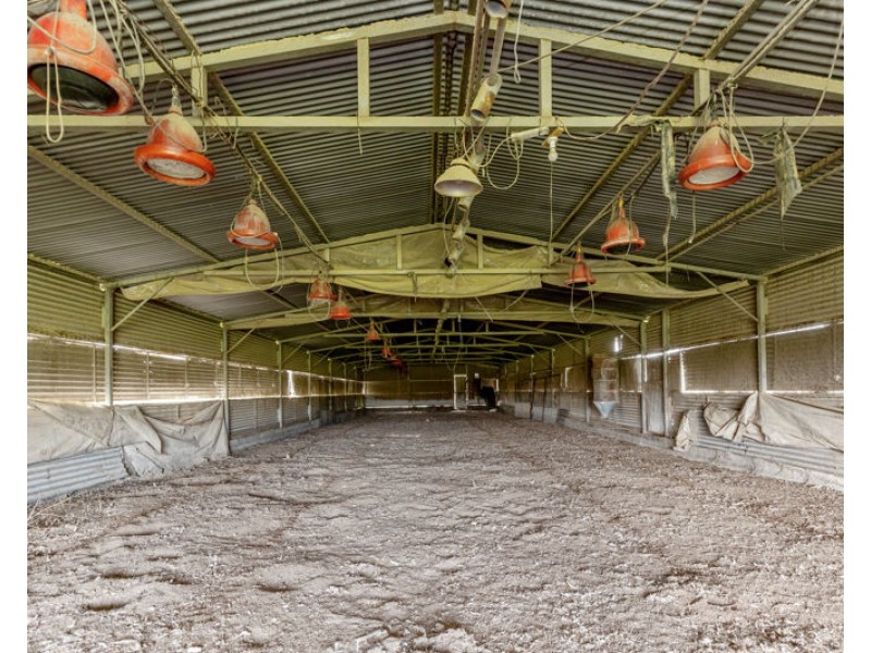 69 Merv Turners Road, Junee NSW 2663