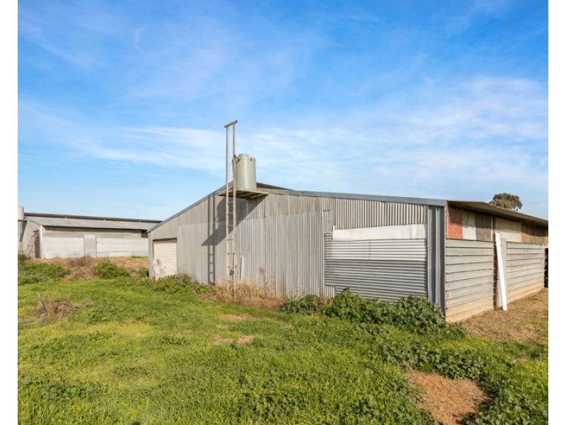 69 Merv Turners Road, Junee NSW 2663