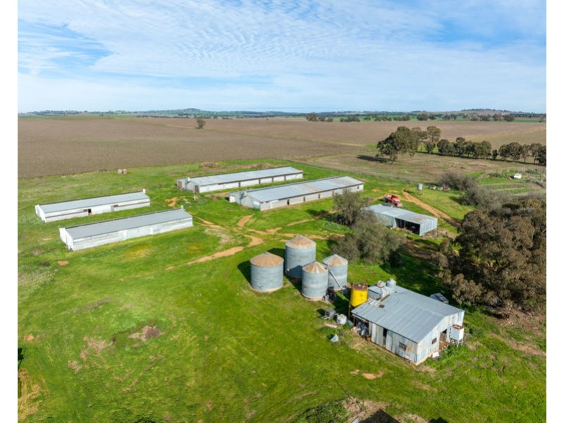69 Merv Turners Road, Junee NSW 2663