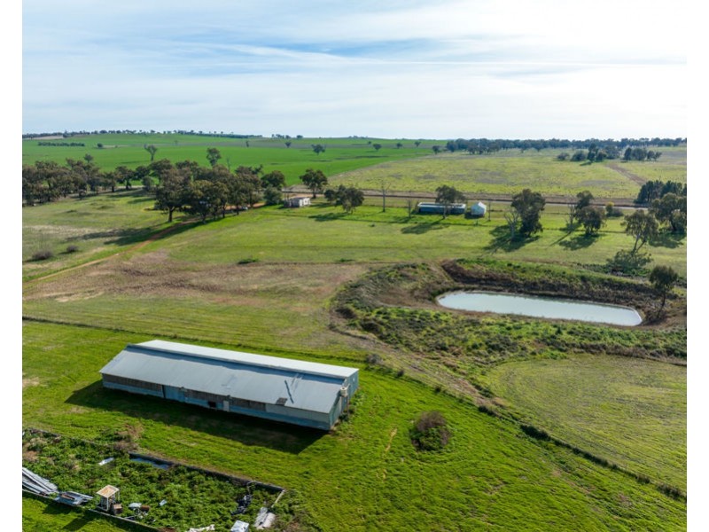 69 Merv Turners Road, Junee NSW 2663