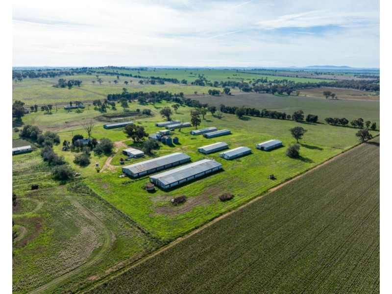 69 Merv Turners Road, Junee NSW 2663