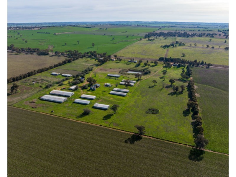 69 Merv Turners Road, Junee NSW 2663