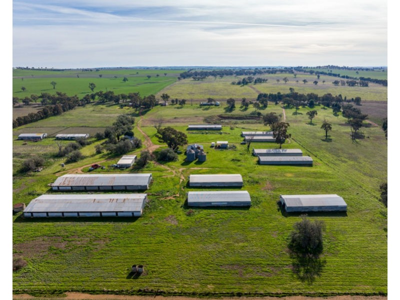 69 Merv Turners Road, Junee NSW 2663