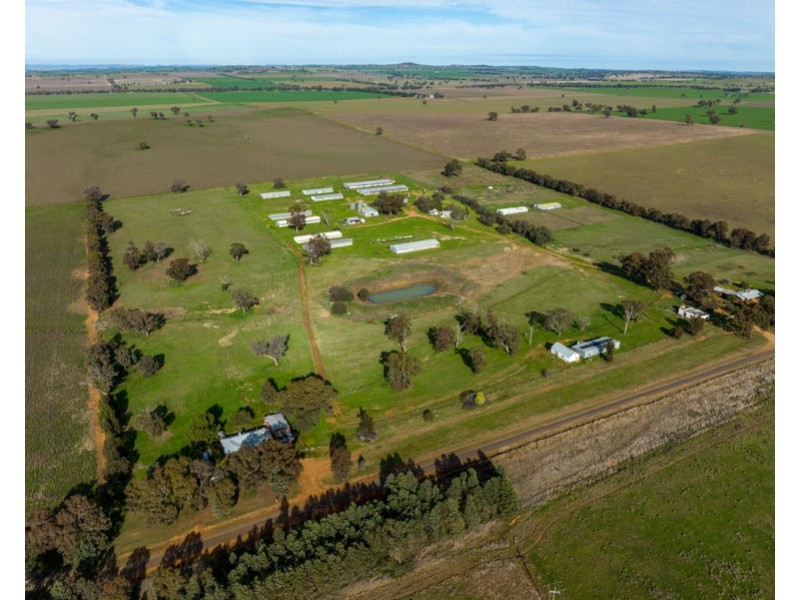 69 Merv Turners Road, Junee NSW 2663