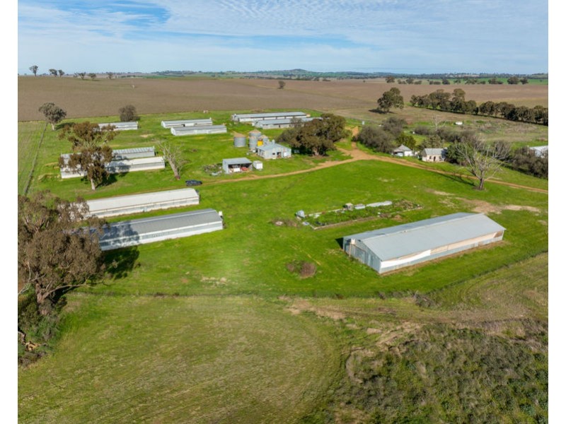 69 Merv Turners Road, Junee NSW 2663