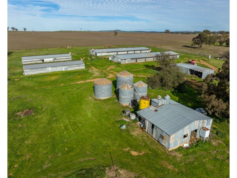 69 Merv Turners Road, Junee NSW 2663
