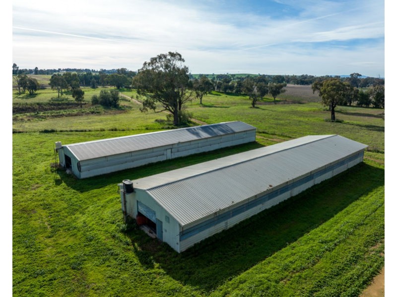69 Merv Turners Road, Junee NSW 2663