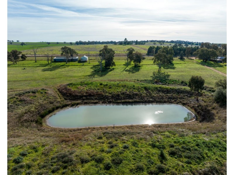 69 Merv Turners Road, Junee NSW 2663