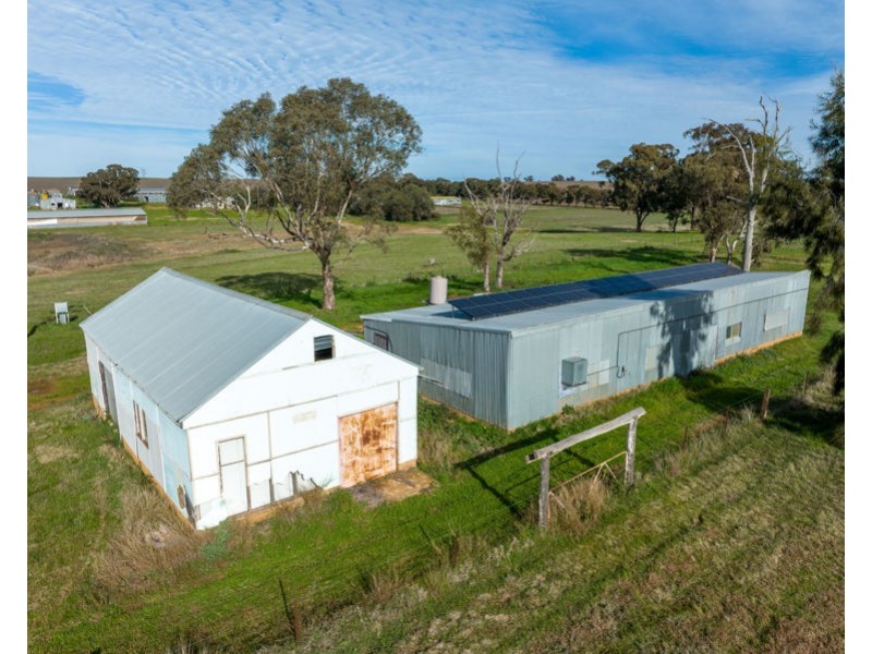 69 Merv Turners Road, Junee NSW 2663