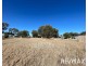Lot 12 Crowther Street, Illabo NSW 2590