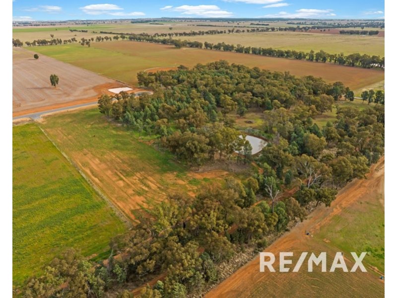 58 Kurrajong Street, Coolamon NSW 2701