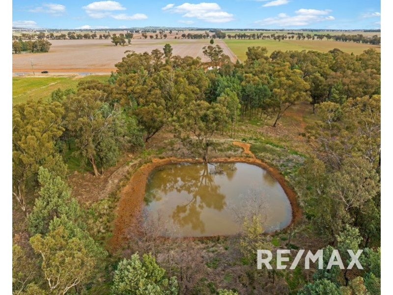 58 Kurrajong Street, Coolamon NSW 2701