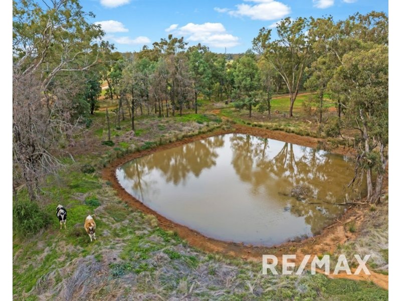 58 Kurrajong Street, Coolamon NSW 2701
