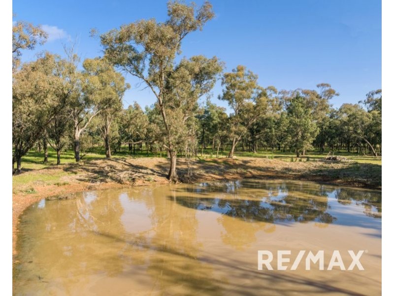 58 Kurrajong Street, Coolamon NSW 2701