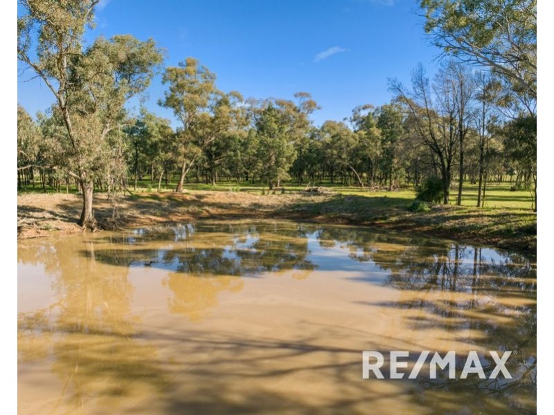 58 Kurrajong Street, Coolamon NSW 2701