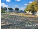 49 Wardle Street, Junee NSW 2663