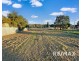 49 Wardle Street, Junee NSW 2663