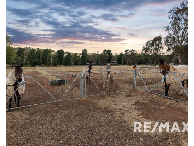 58 Harold Street, Junee NSW 2663