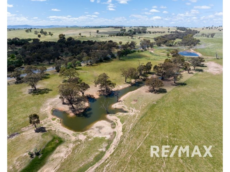 5919 Gundagai Road, Junee NSW 2663
