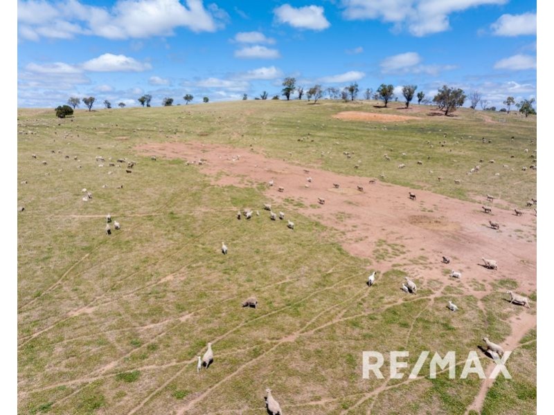 5919 Gundagai Road, Junee NSW 2663