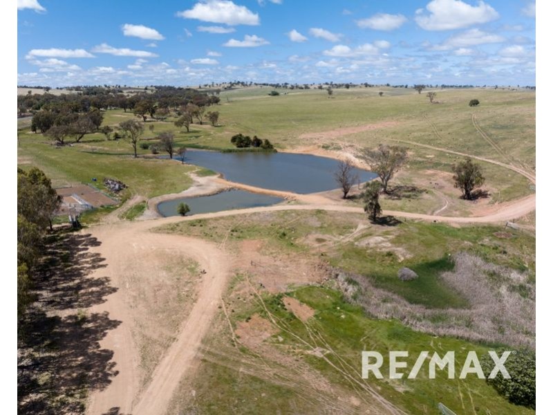 5919 Gundagai Road, Junee NSW 2663