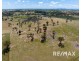 5919 Gundagai Road, Junee NSW 2663