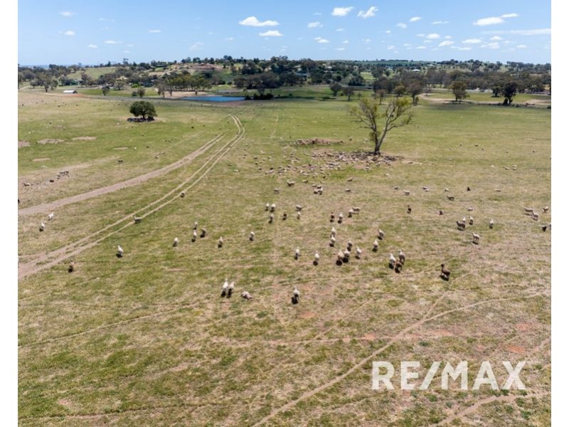 5919 Gundagai Road, Junee NSW 2663