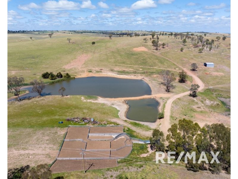 5919 Gundagai Road, Junee NSW 2663