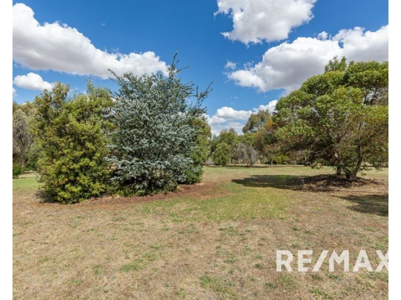 17 De Salis Drive, Junee NSW 2663