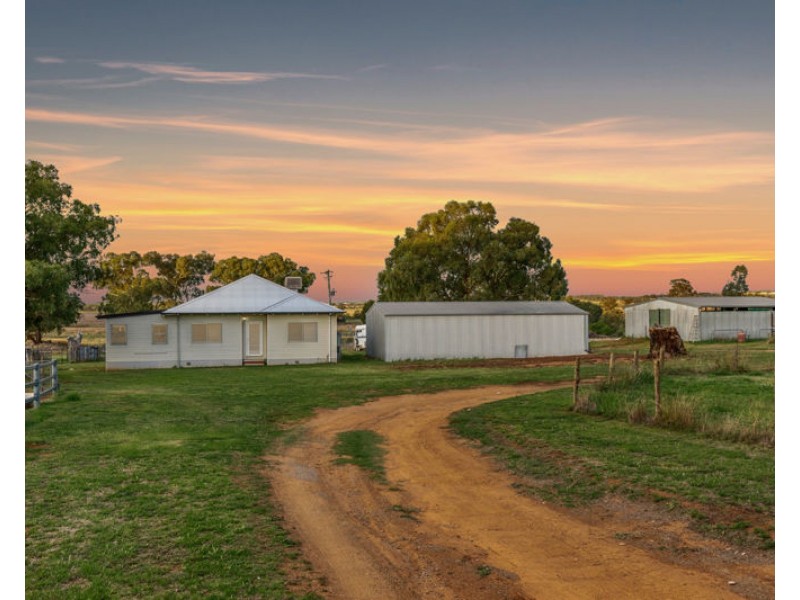 32 Murrulebale Rd, Junee NSW 2663