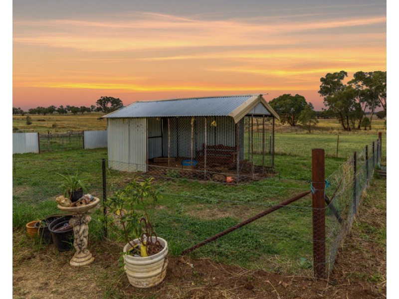 32 Murrulebale Rd, Junee NSW 2663