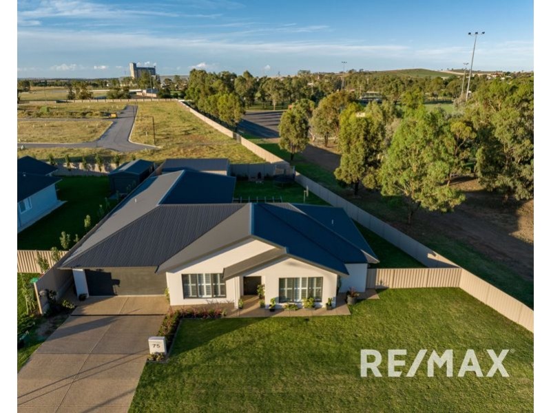 75 John Potts Drive, Junee NSW 2663