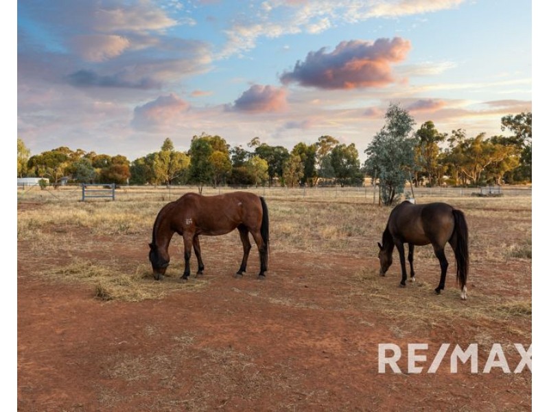 10 Jerricks Lane, Coolamon NSW 2701