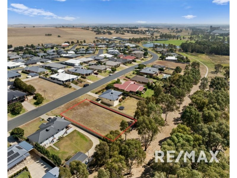 39 Johns Potts Drive, Junee NSW 2663