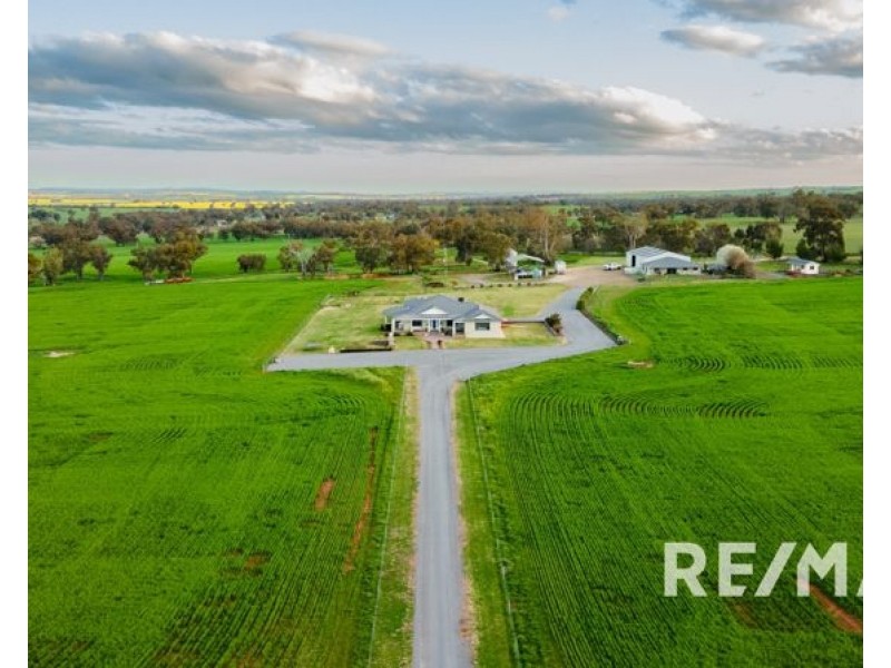 82 Pikedale Road, Junee NSW 2663