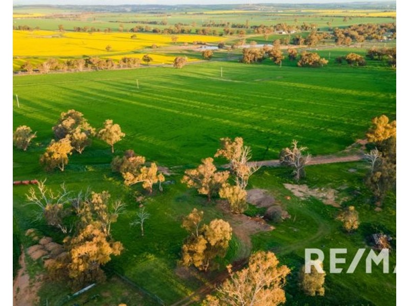 82 Pikedale Road, Junee NSW 2663