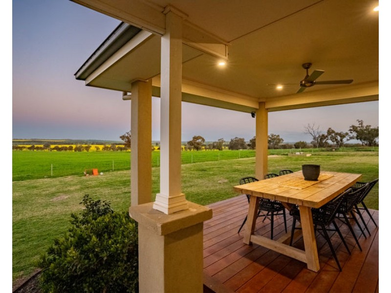 82 Pikedale Road, Junee NSW 2663