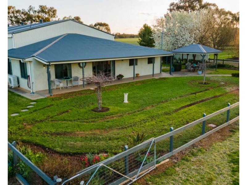 82 Pikedale Road, Junee NSW 2663