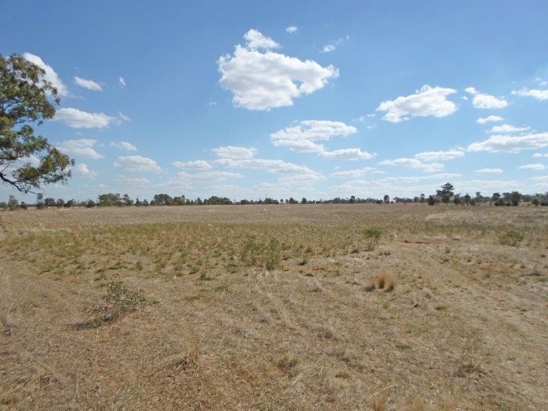 Lot 3 Wyoming  Lane, Junee NSW 2663