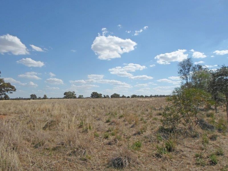 Lot 3 Wyoming  Lane, Junee NSW 2663