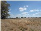 Lot 4 Wyoming Lane, Junee NSW 2663