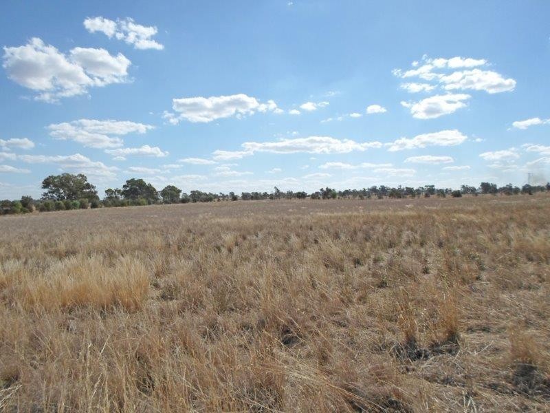 Lot 4 Wyoming Lane, Junee NSW 2663