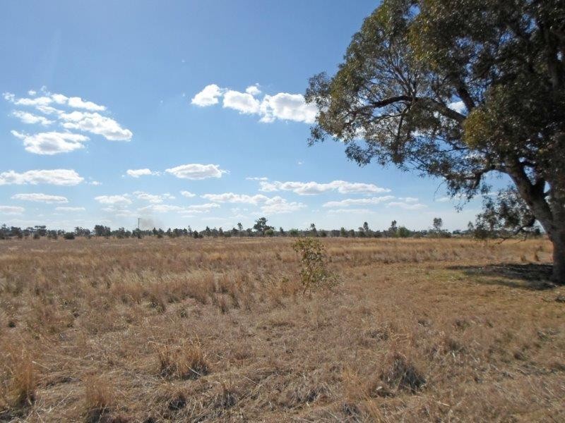 Lot 4 Wyoming Lane, Junee NSW 2663