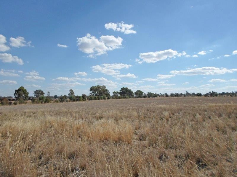 Lot 4 Wyoming Lane, Junee NSW 2663