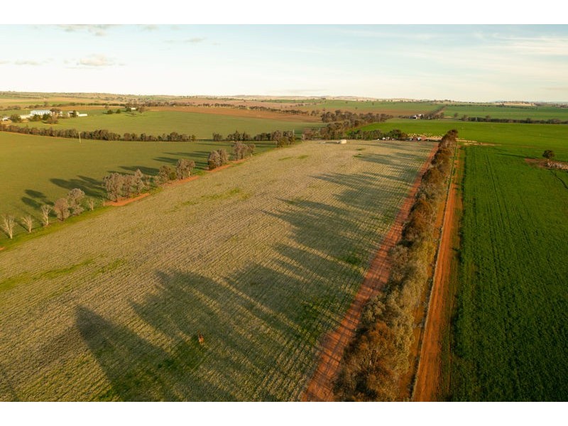 375 Roedigers Lane, Junee NSW 2663