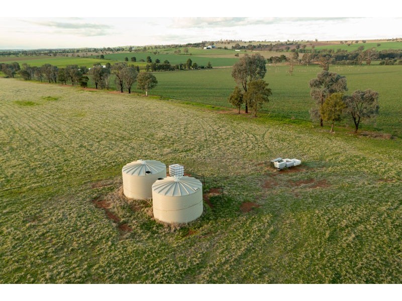 375 Roedigers Lane, Junee NSW 2663