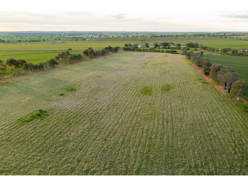 375 Roedigers Lane, Junee NSW 2663