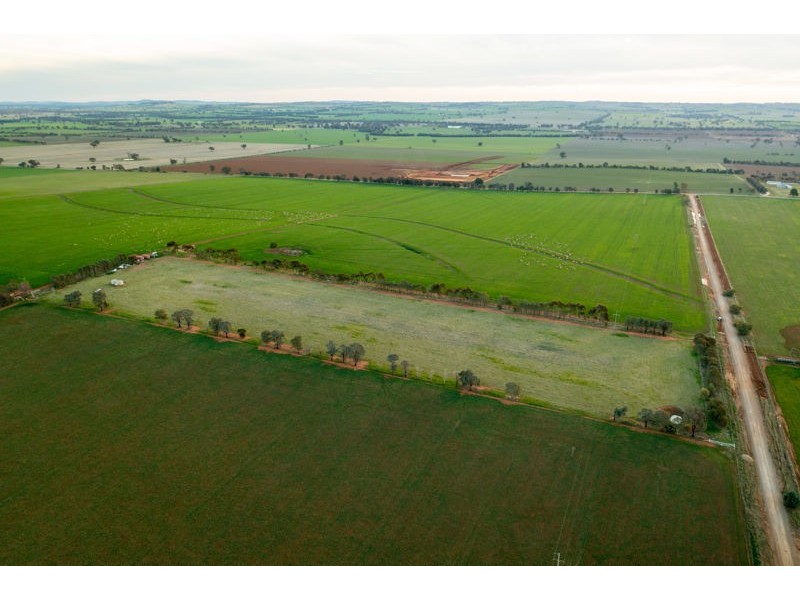 375 Roedigers Lane, Junee NSW 2663