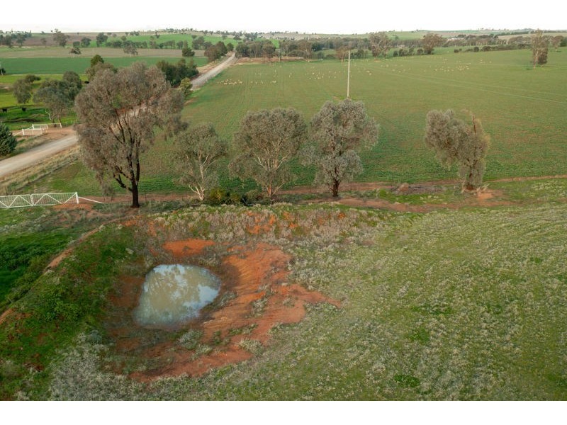 375 Roedigers Lane, Junee NSW 2663