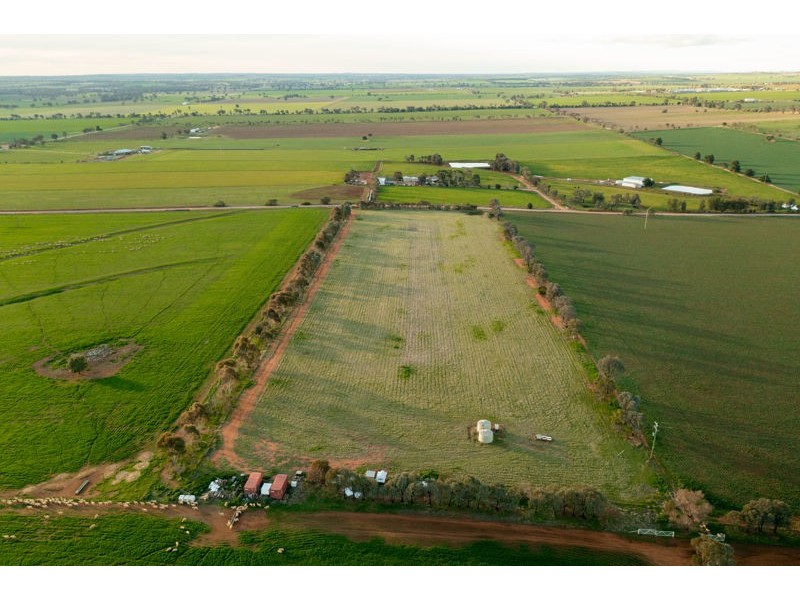 375 Roedigers Lane, Junee NSW 2663